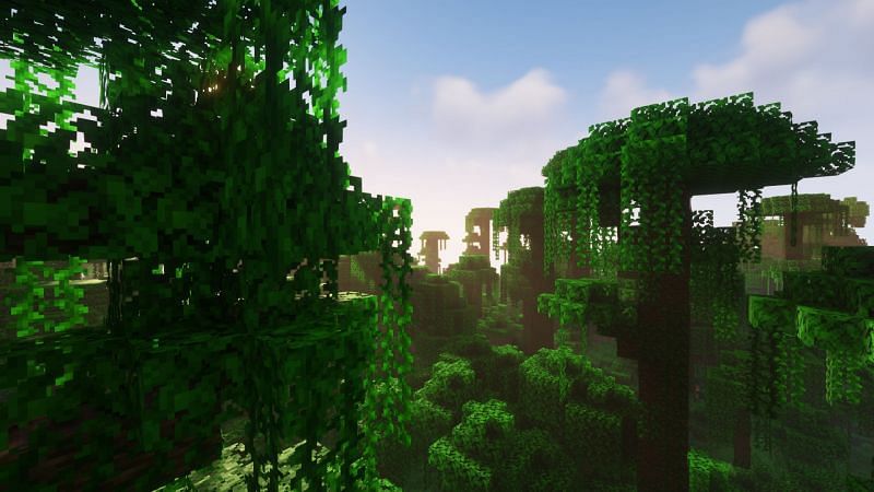 Jungle biome (Image via Minecraft)